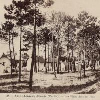 Saint-Jean-de-Monts (Vendée) Les villas CPA