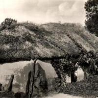 Saint-Jean-de-Monts (Vendée) Une bourrine CPA