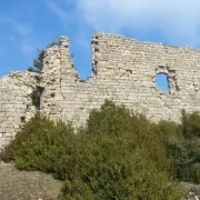 Les ruines du château d'Algues