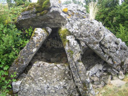 Saint-Jean-et-Saint-Paul (Aveyron) Dolmen de la Treille