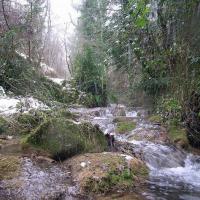 Saint-Paul-des-Fonts