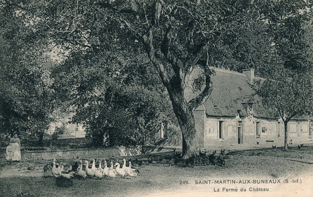 Saint martin aux buneaux seine maritime chateau la ferme cpa