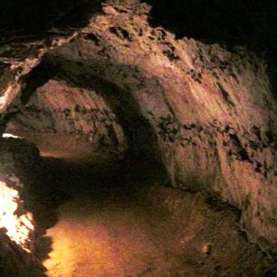 Les Petites-Dalles (76)