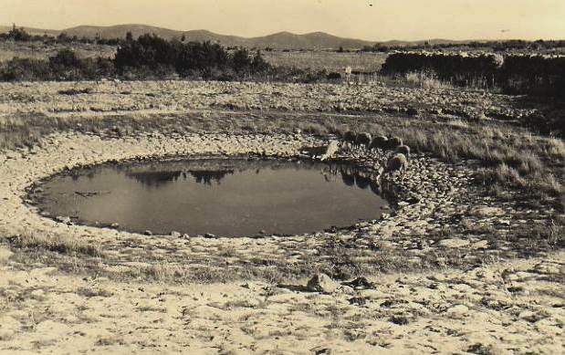 Saint-Maurice-Navacelles (Hérault) La Baume Auriol, la lavogne CPA