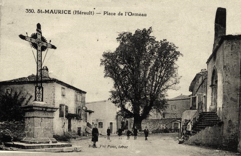 Saint-Maurice-Navacelles (Hérault) La place de l'Ormeau CPA