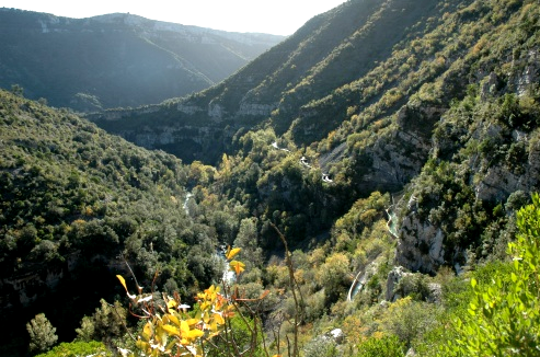 Saint-Maurice-Navacelles (Hérault) Les gorges de la Vis