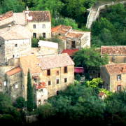 Vue générale