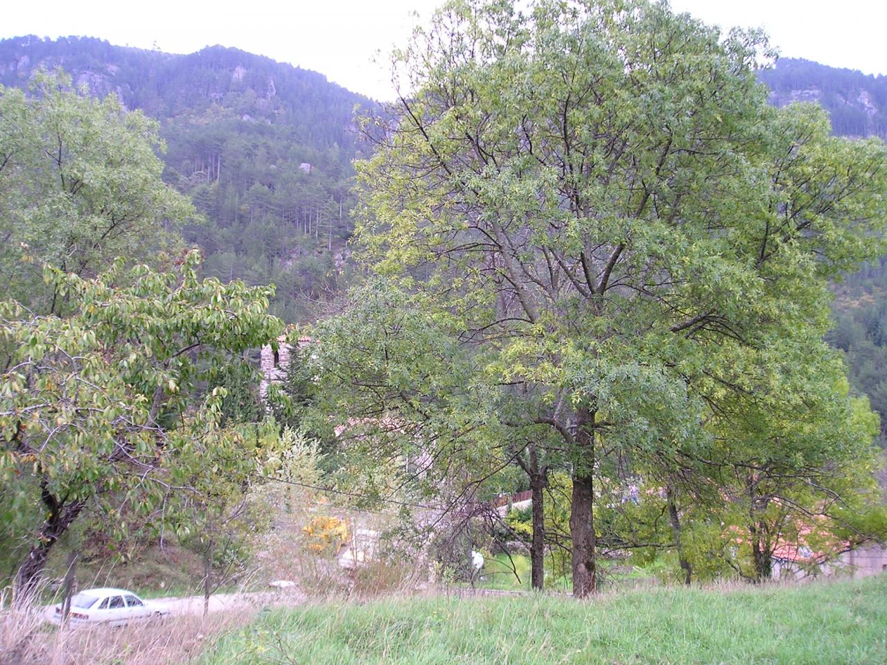 Saint-Pierre-de-la-Fage (Hérault) Parlatges