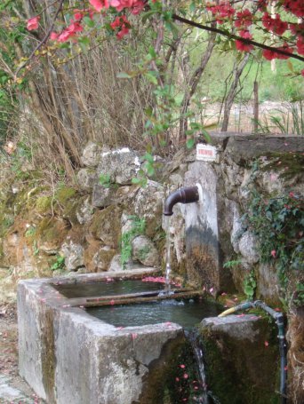 Saint-Pierre-de-la-Fage (Hérault) Parlatges, la fontaine