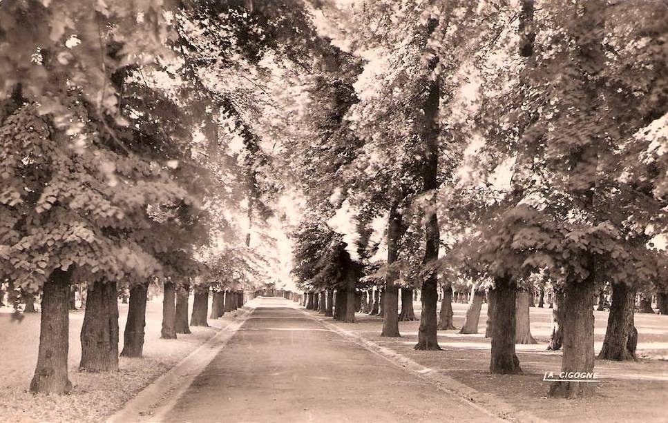 Saint-Quentin (Aisne) CPA les Champs Elysées