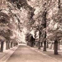 Saint-Quentin (Aisne) CPA les Champs Elysées