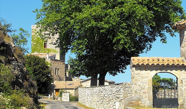 Saint-Roman-de-Codières (Gard) 