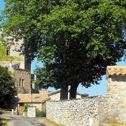 Saint-Roman-de-Codières (Gard) 