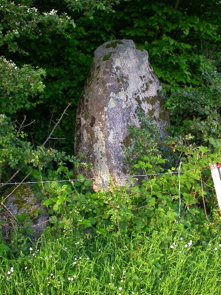 Saint-Saulge (Nièvre) Le menhir du Bourras