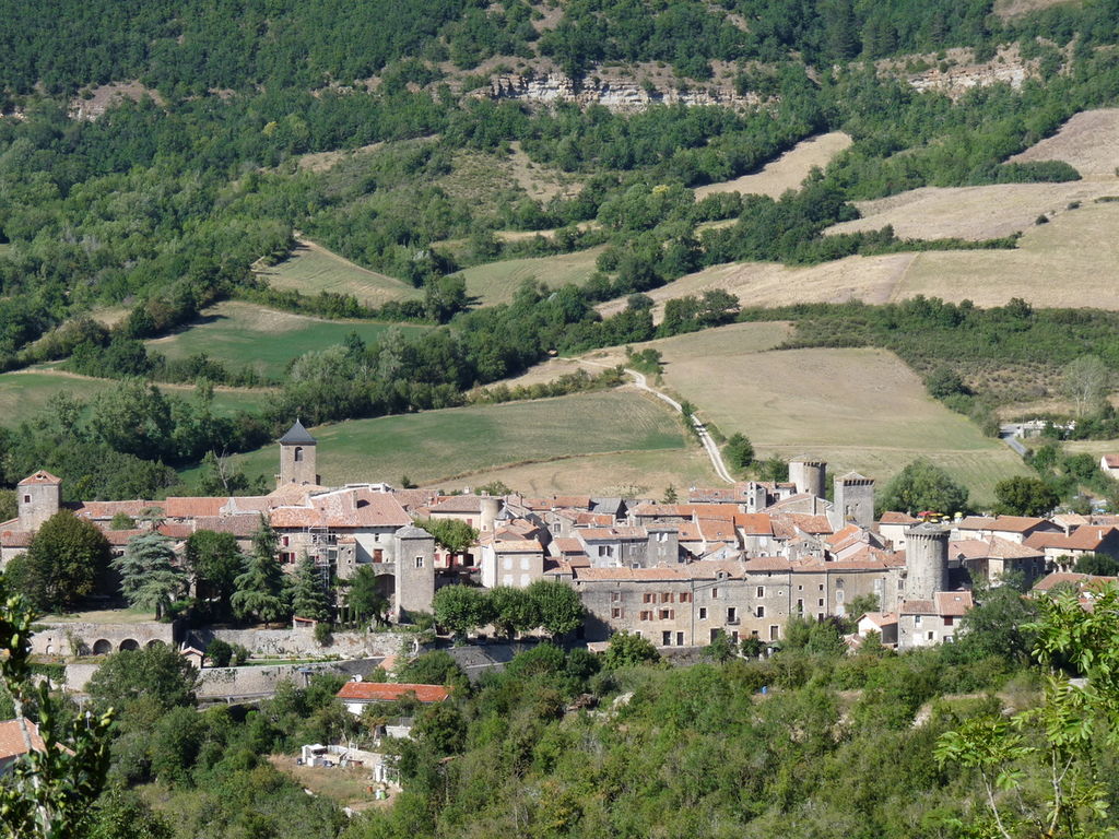 Sainte-Eulalie-de-Cernon (Aveyron) Vue générale
