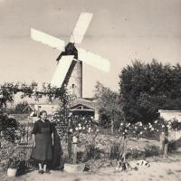 Sallertaine (Vendée) Le moulin de Rairé, Amélina Barreteau en 1960