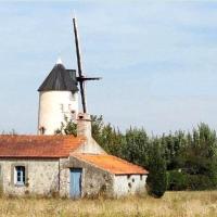 Sallertaine (Vendée) Le moulin de Rairé