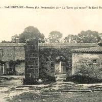 Sallertaine (Vendée) Mauny, La Fromentière CPA