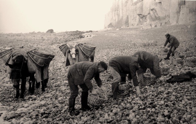 Sassetot le mauconduit seine maritime petites dalles les ramasseurs de galets cpa