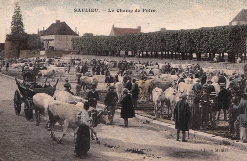 Saulieu (Côte d'Or) Le champ de foire CPA