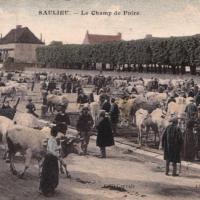 Le champ de foire CPA