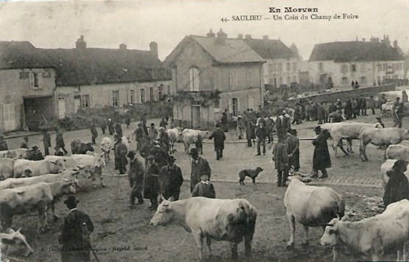 Saulieu (Côte d'Or) Le marché aux bestiaux CPA