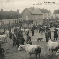 Le marché aux bestiaux CPA