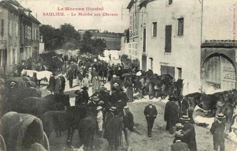 Saulieu (Côte d'Or) Le marché aux chevaux CPA