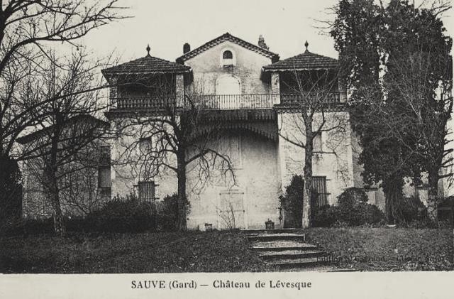 Le château Levesque (cpa)