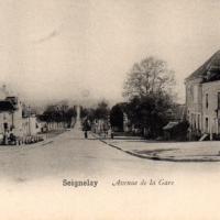 Seignelay (89) L'avenue de la Gare CPA