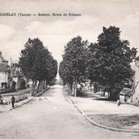 Seignelay (89) La route de Brienon CPA