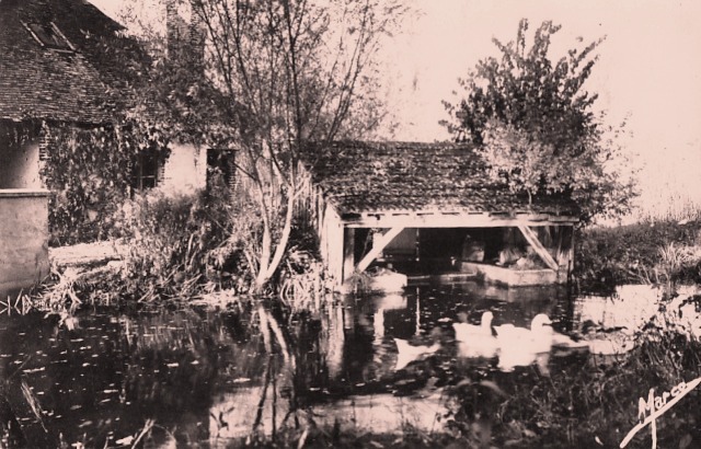 Seignelay (89) Le lavoir CPA