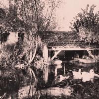 Seignelay (89) Le lavoir CPA