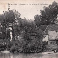 Seignelay (89) Le Moulin CPA