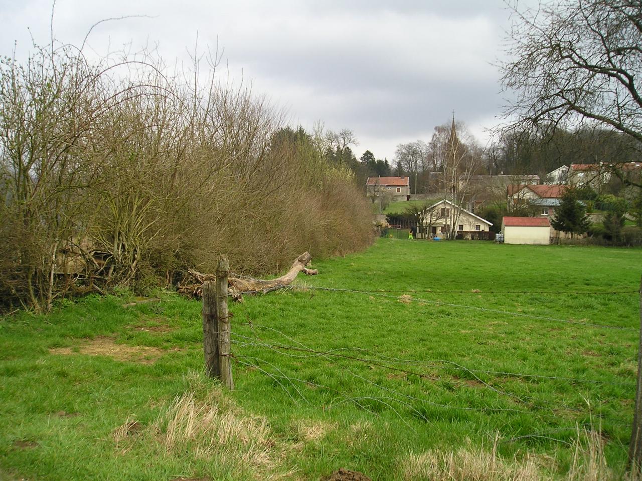 Stenay (Meuse) Cervisy, le terrain 2005