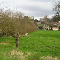 Stenay (Meuse) Cervisy, le terrain 2005