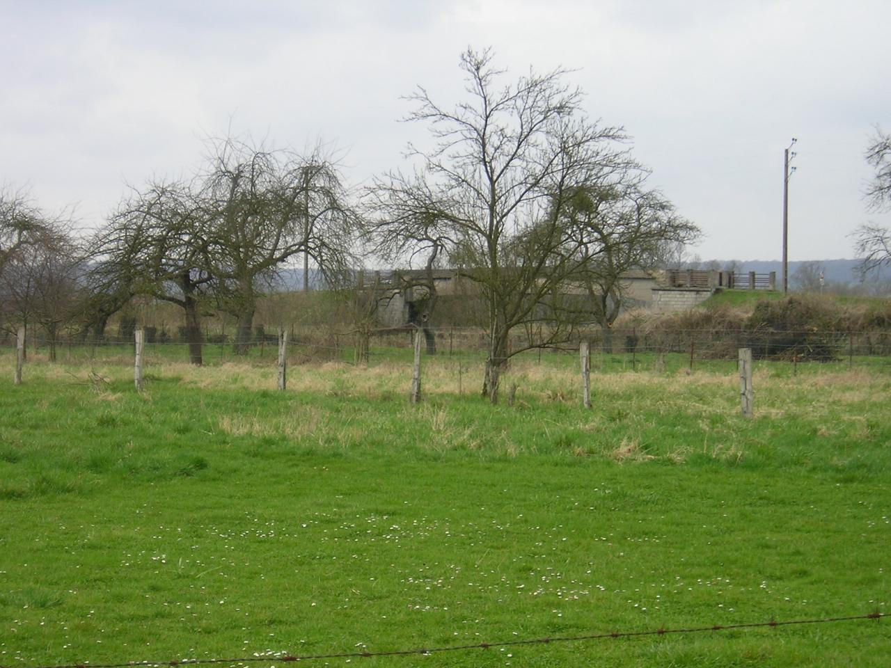 Stenay (Meuse) Cervisy, le terrain 2005