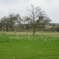 Stenay (Meuse) Cervisy, le terrain 2005