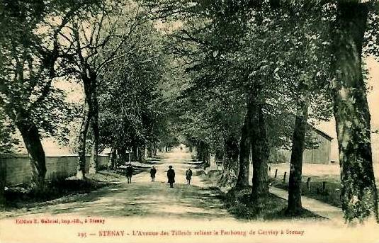 Stenay (Meuse) Cervisy, l'avenue des tilleuls CPA