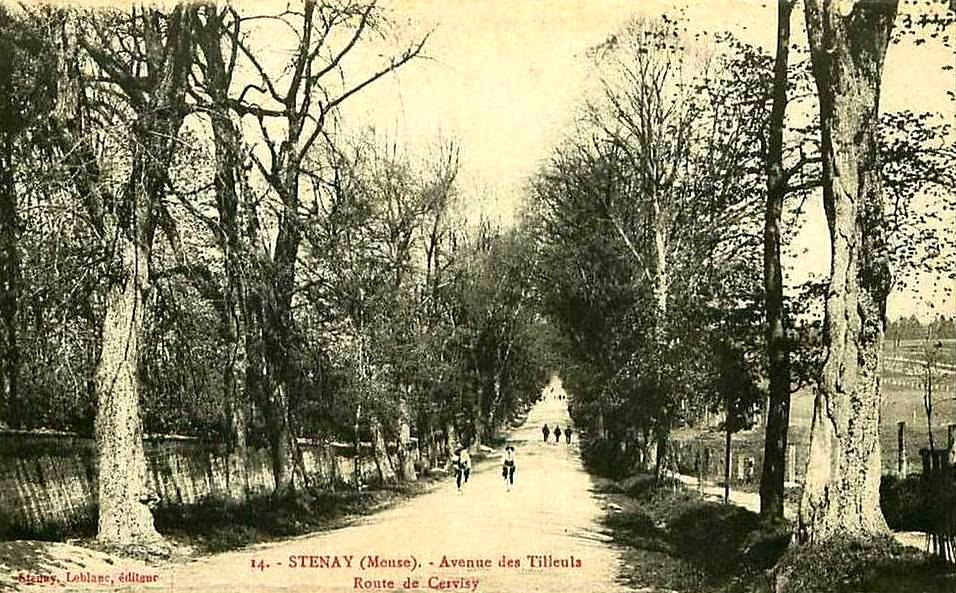 Stenay (Meuse) Cervisy, l'avenue des tilleuls CPA