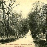Stenay (Meuse) Cervisy, l'avenue des tilleuls CPA