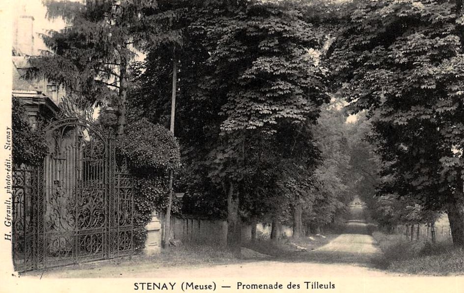 Stenay (Meuse) Cervisy, l'avenue des tilleuls CPA