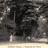 Stenay (Meuse) Cervisy, l'avenue des tilleuls CPA