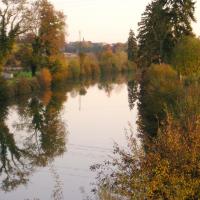 Stenay (Meuse) Cervisy, le canal  2004