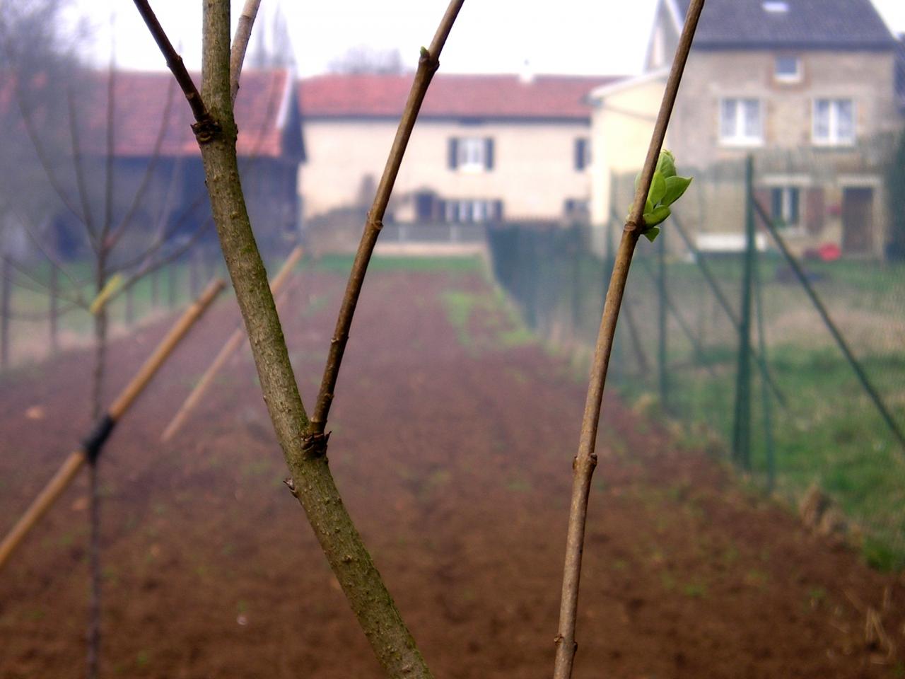 Stenay (Meuse) Cervisy, le terrain 2005