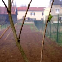 Stenay (Meuse) Cervisy, le terrain 2005