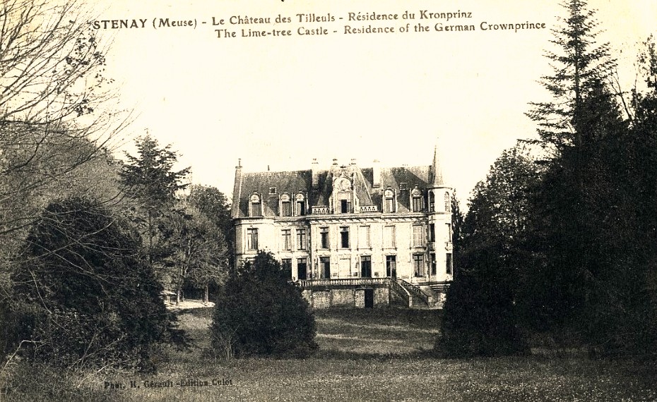Stenay (Meuse) Le château des Tilleuls CPA