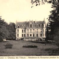 Stenay (Meuse) Le château des Tilleuls CPA