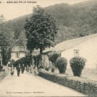 L' allée des ifs (cpa)