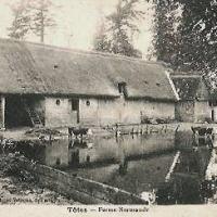 Totes seine maritime ferme cpa